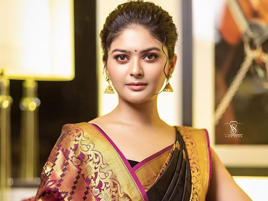 Traditional Looks Of Vaibhavi Shandilya